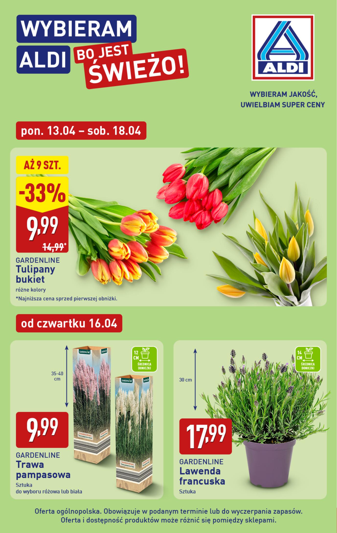 Strona /assets/leaflets/aldi/073d584580d160a4f5c172f5d80cc3c2db3b7bf0/5.jpg