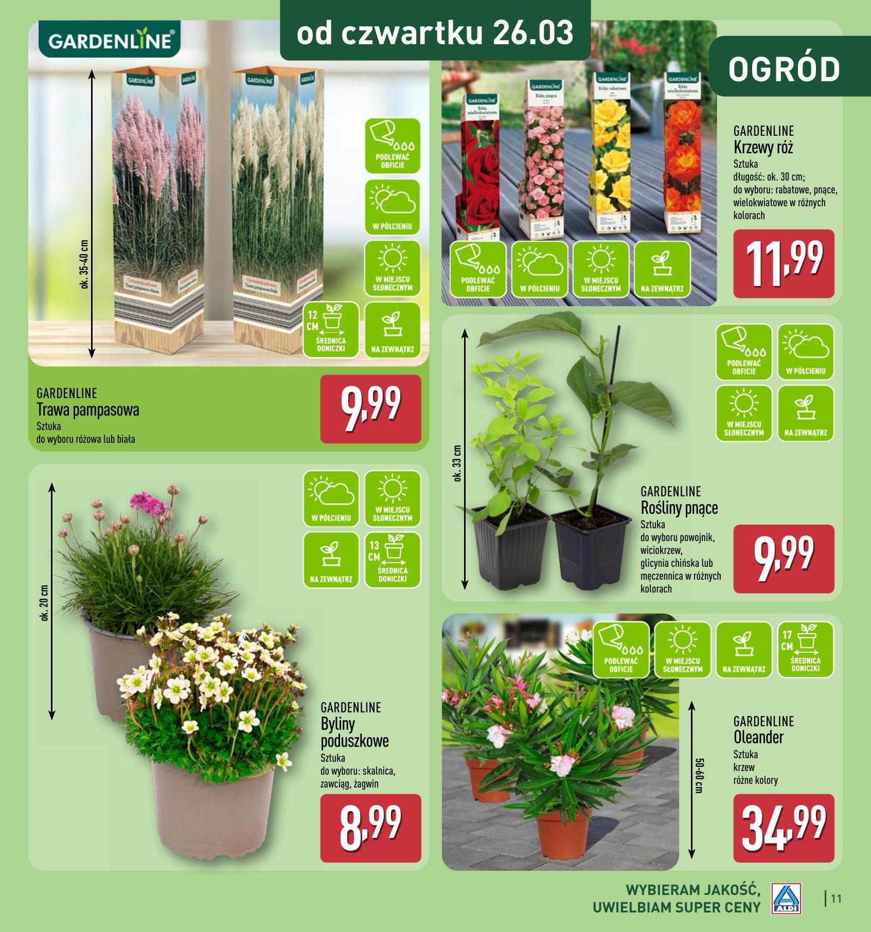 Strona /assets/leaflets/aldi/341c86b65df623666d2936b58b9382880d1495b4/10.jpg