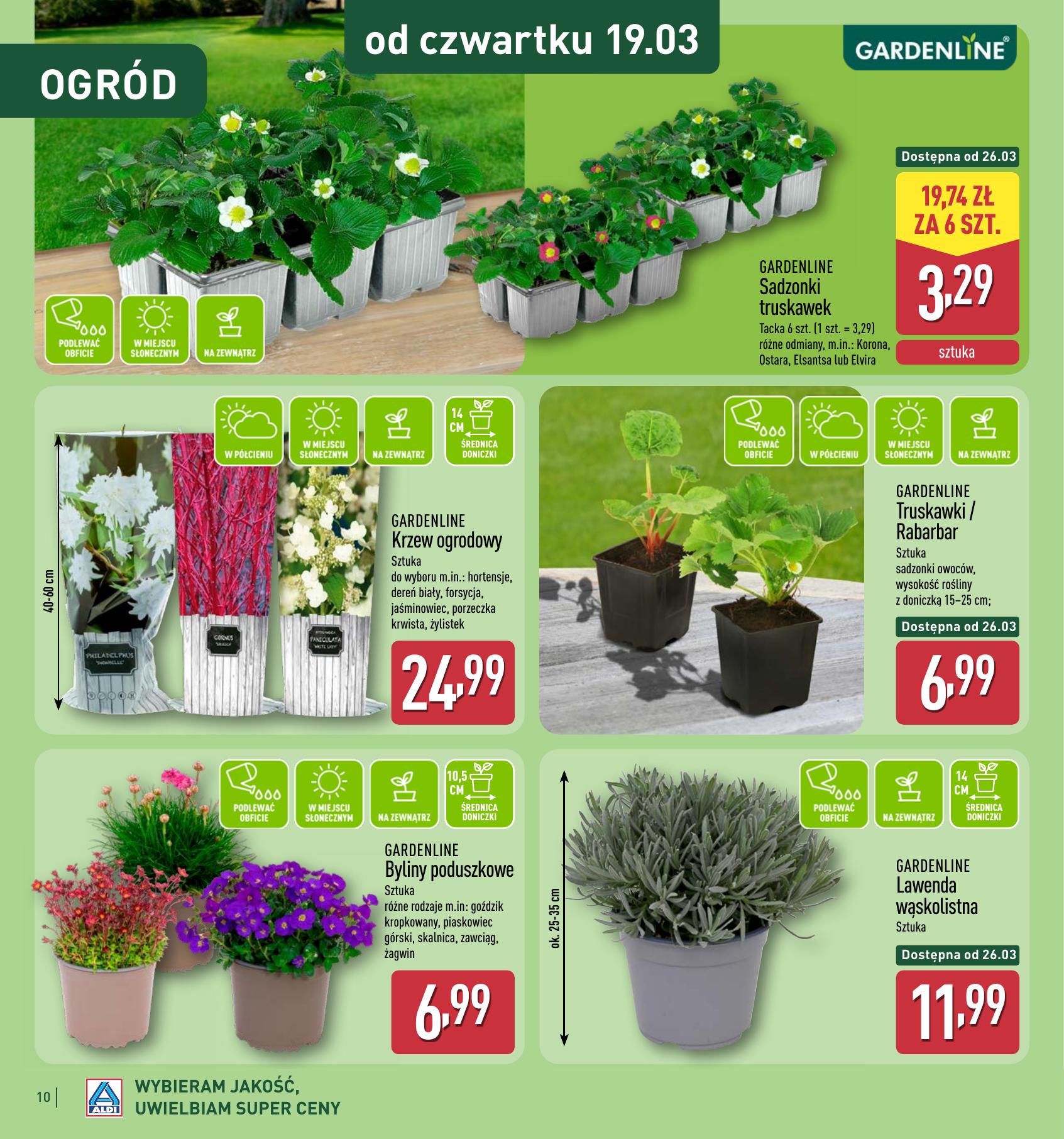 Strona /assets/leaflets/aldi/341c86b65df623666d2936b58b9382880d1495b4/9.jpg