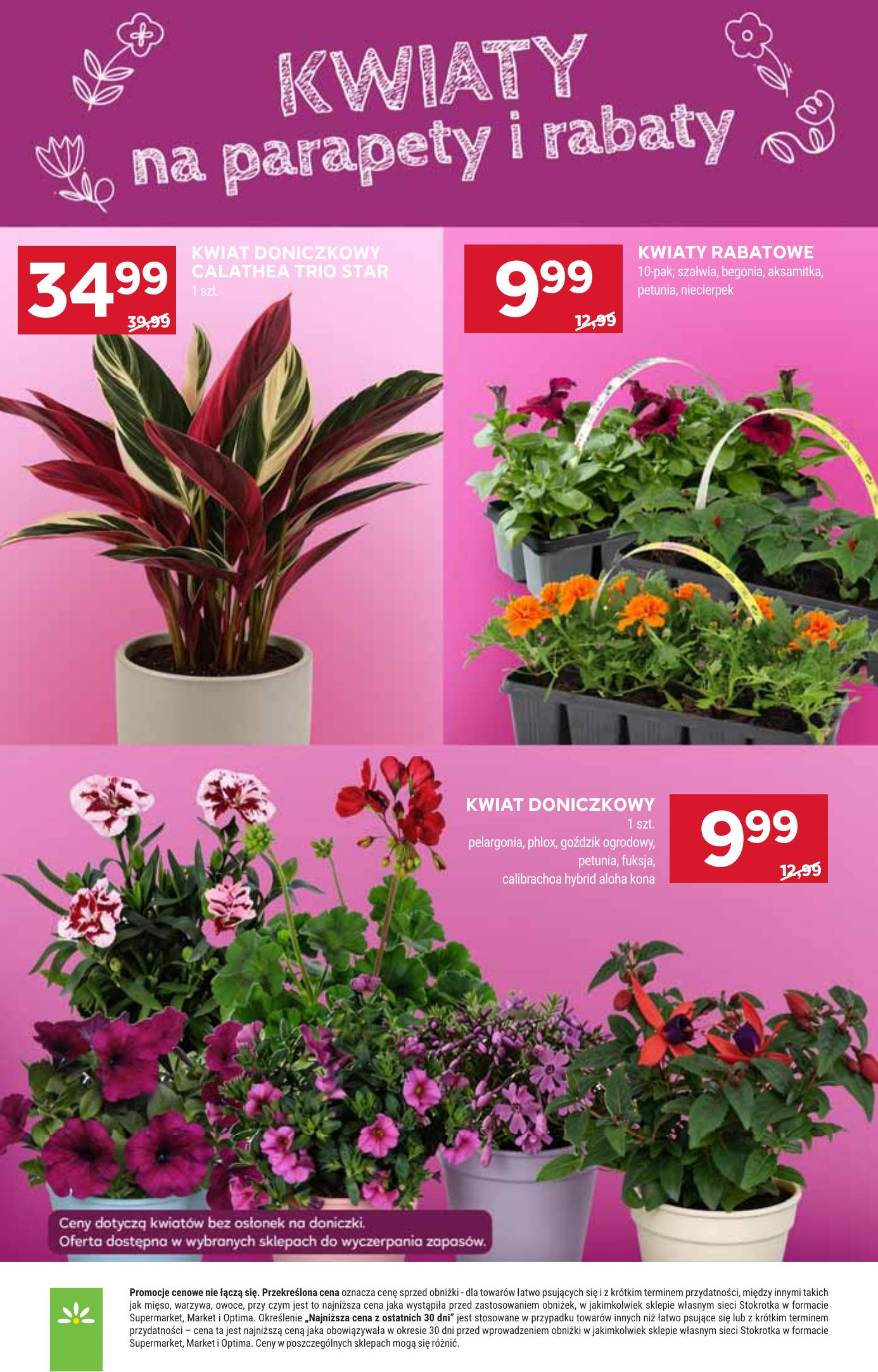 Strona /assets/leaflets/stokrotka/07f5e7ca1a0ccd738598b903d7e4e096547015a1/23.jpg